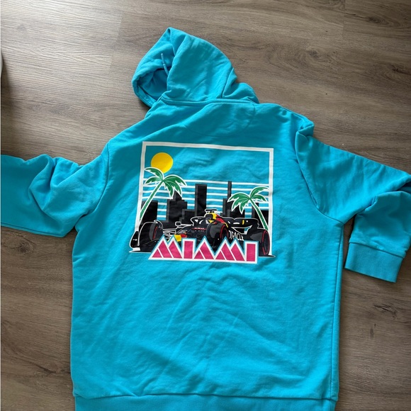 Oracle Red Bull Racing Turquoise Hoodie - Picture 1 of 4